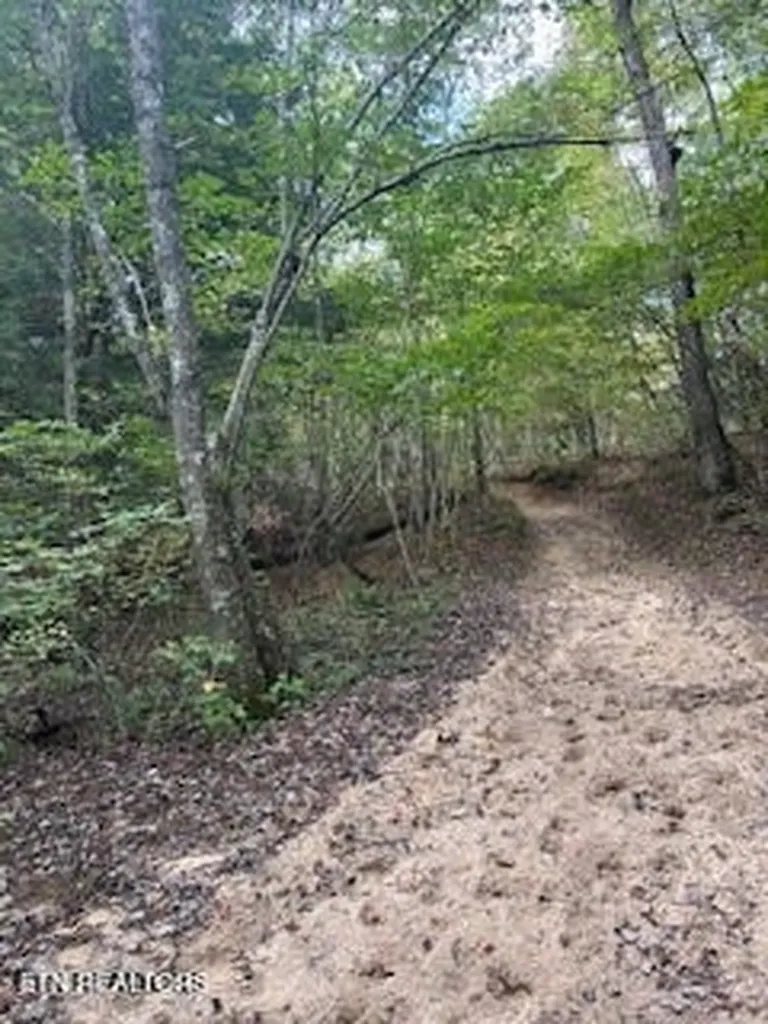 0 Ridge Top Drive Jamestown TN 38556
