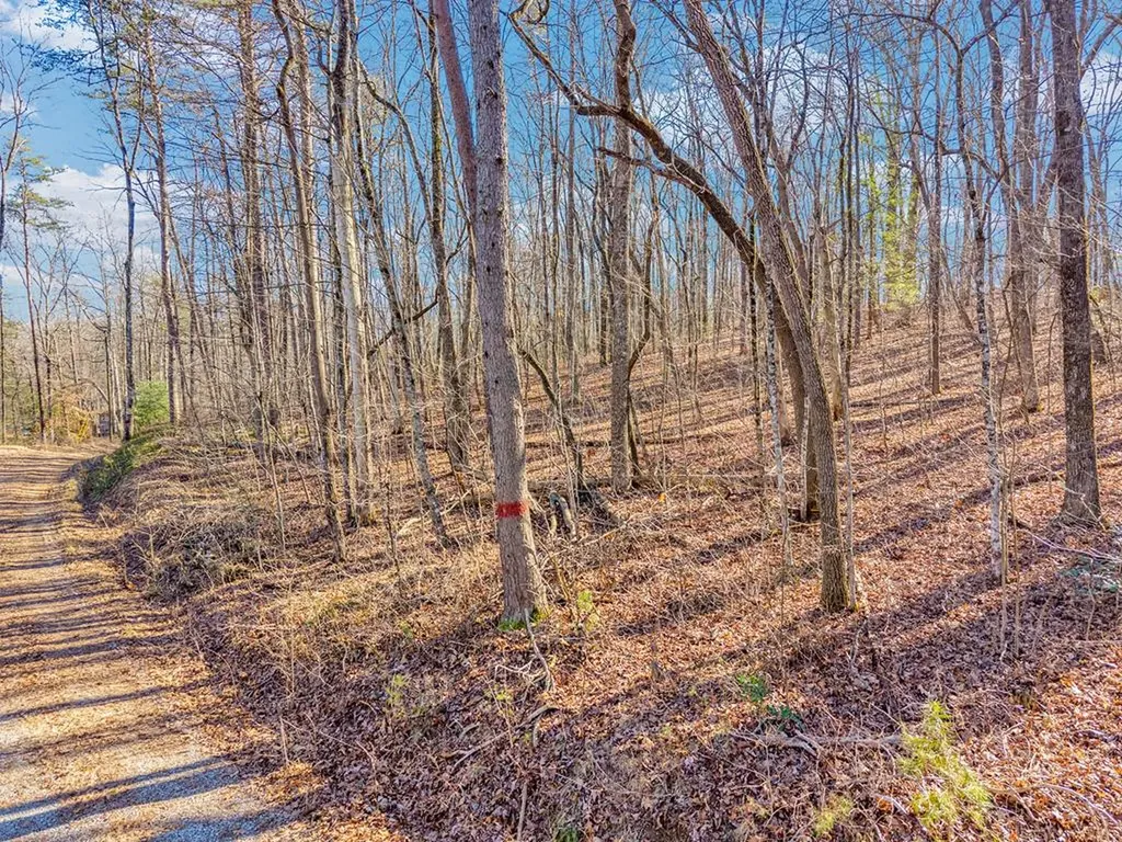 107 Burchette Drive Crossville TN 38572