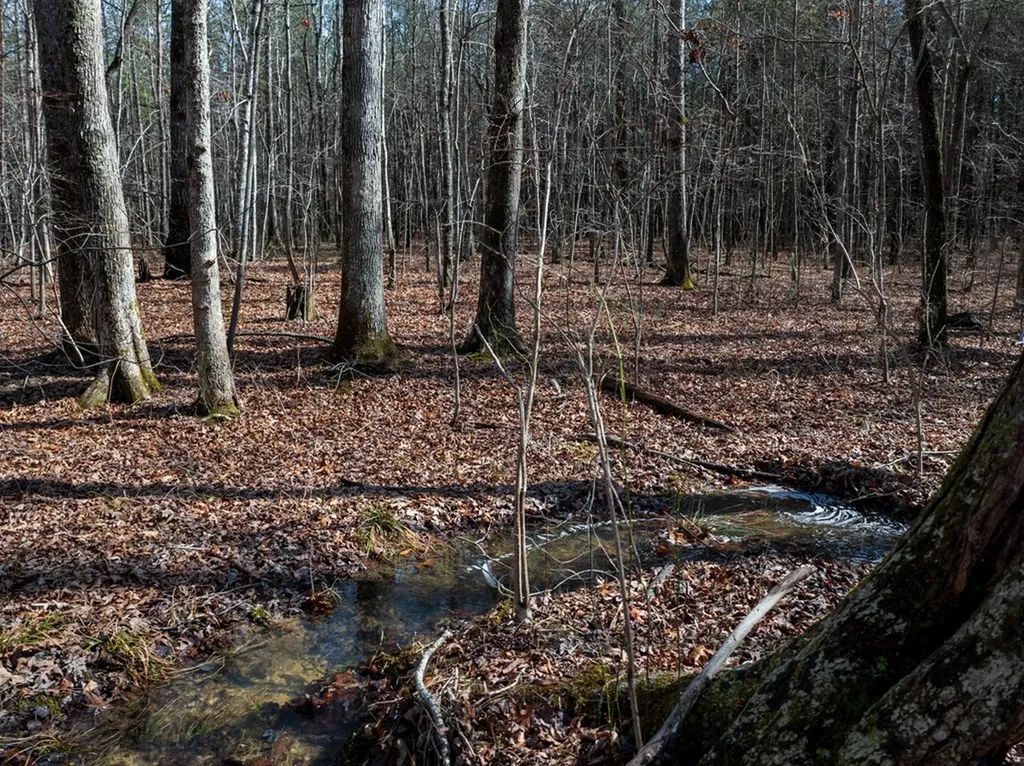 Lot 6 Forest View Drive Spencer TN 38585