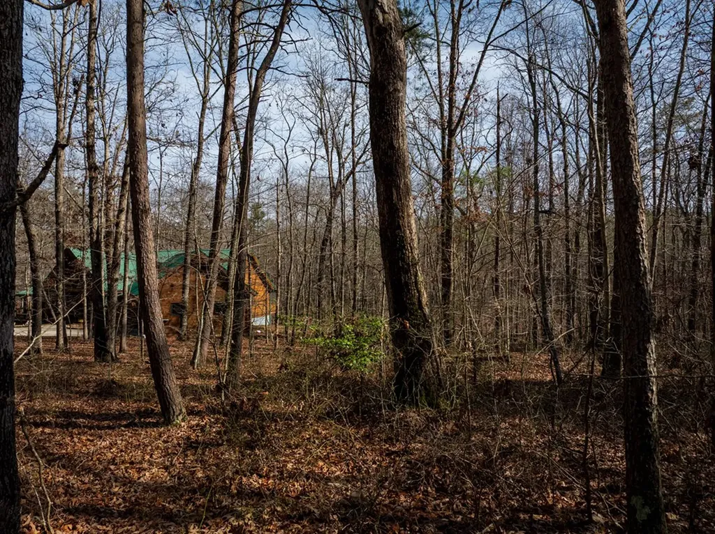 Lot 6 Forest View Drive Spencer TN 38585