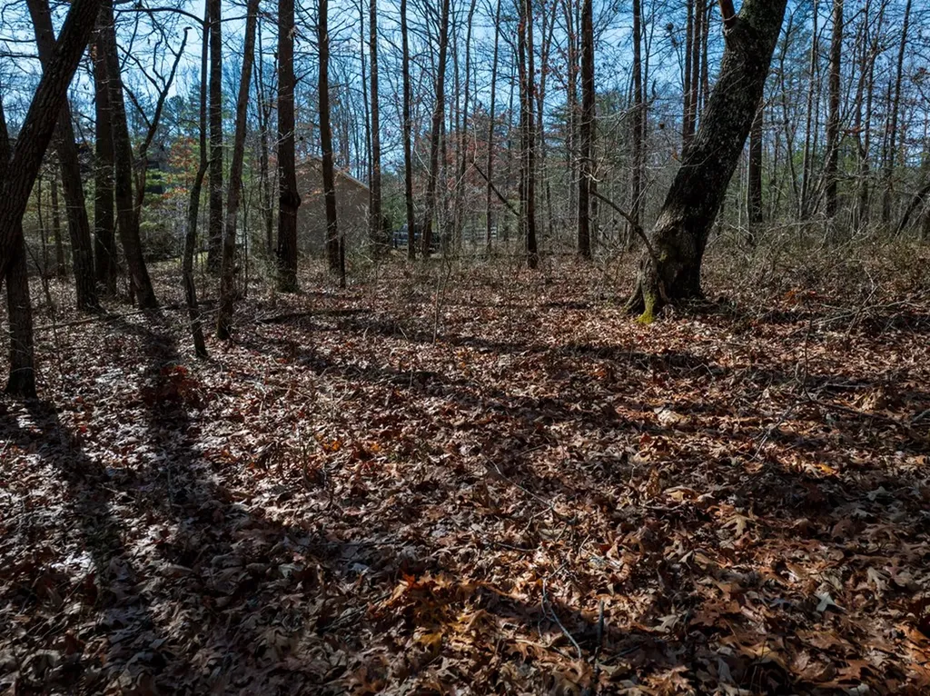 Lot 6 Forest View Drive Spencer TN 38585