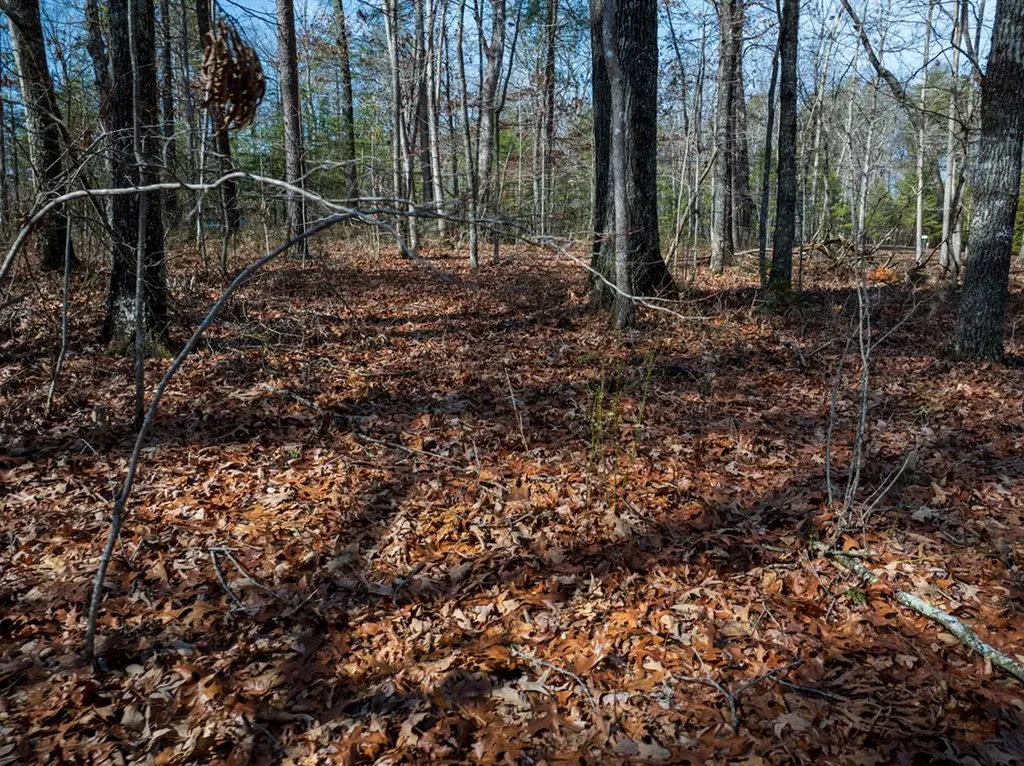 Lot 6 Forest View Drive Spencer TN 38585