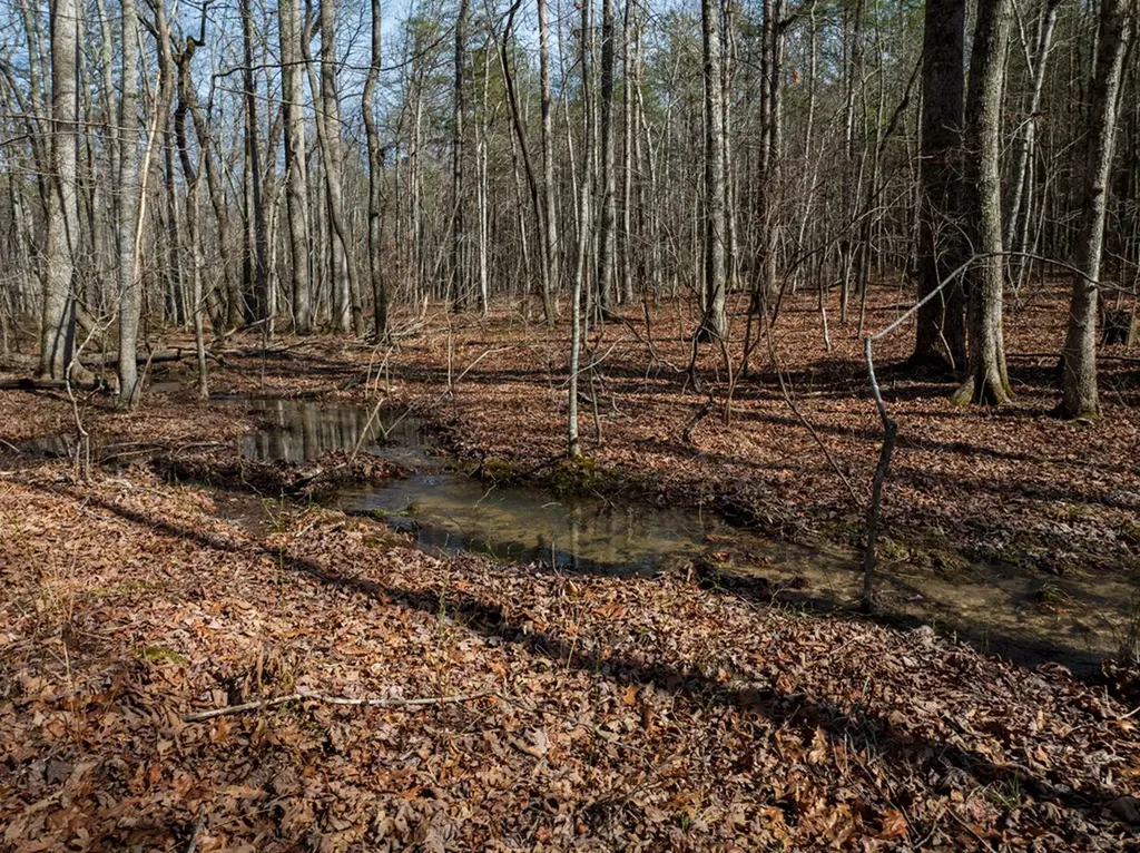 Lot 6 Forest View Drive Spencer TN 38585