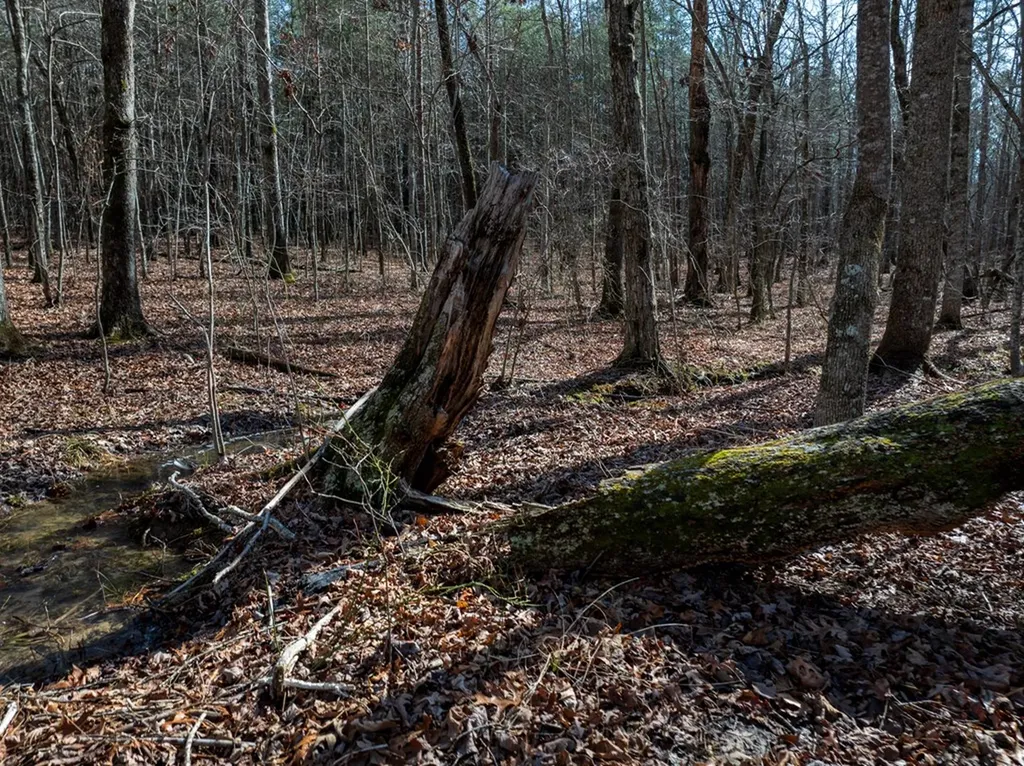 Lot 6 Forest View Drive Spencer TN 38585