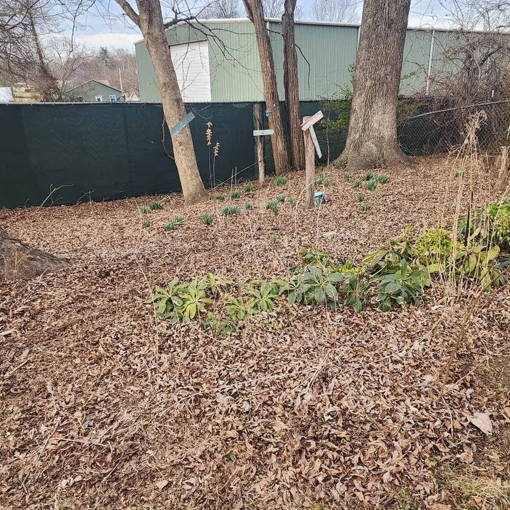 405 W Sparta Street Mcminnville TN 37110