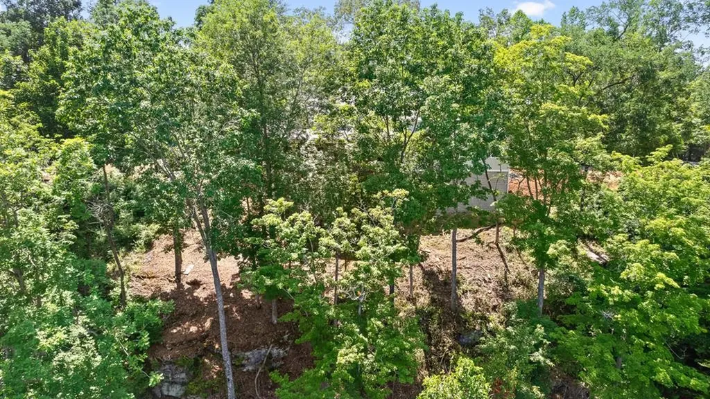 300 Chandler Road Doyle TN 38559