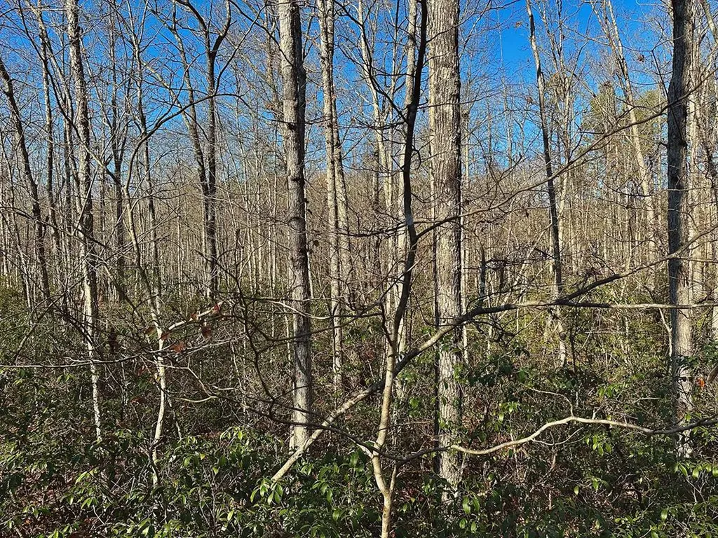 Lot 35 Wilson Ridge Road Wilder TN 38589