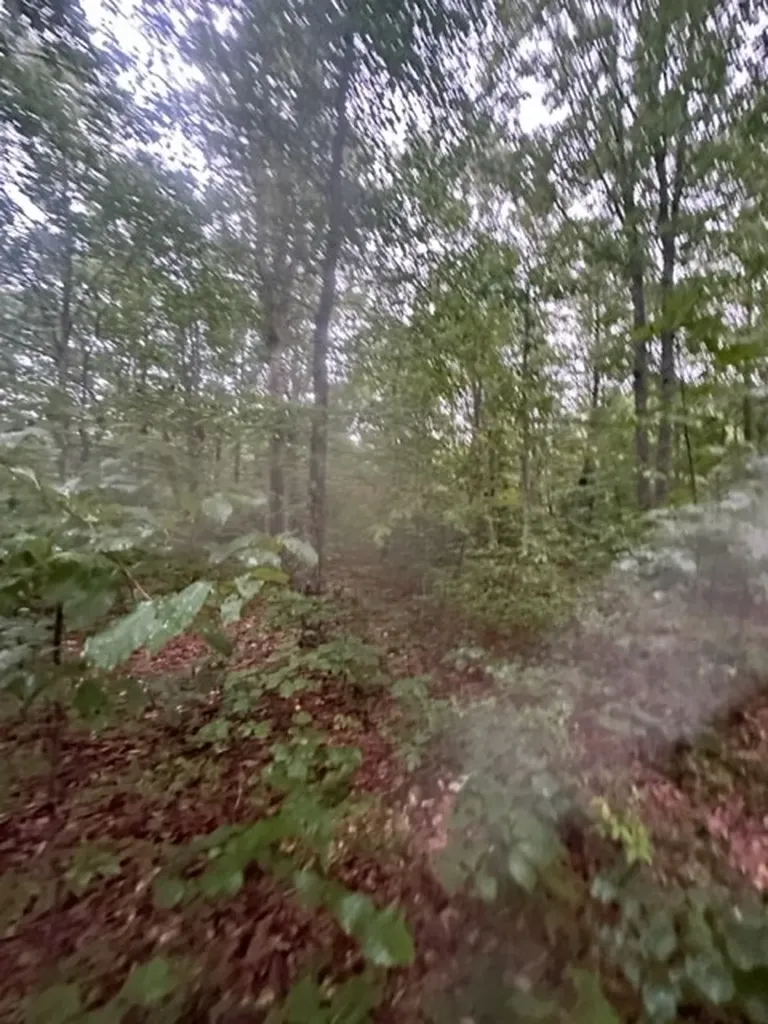 Lot 35 Wilson Ridge Road Wilder TN 38589