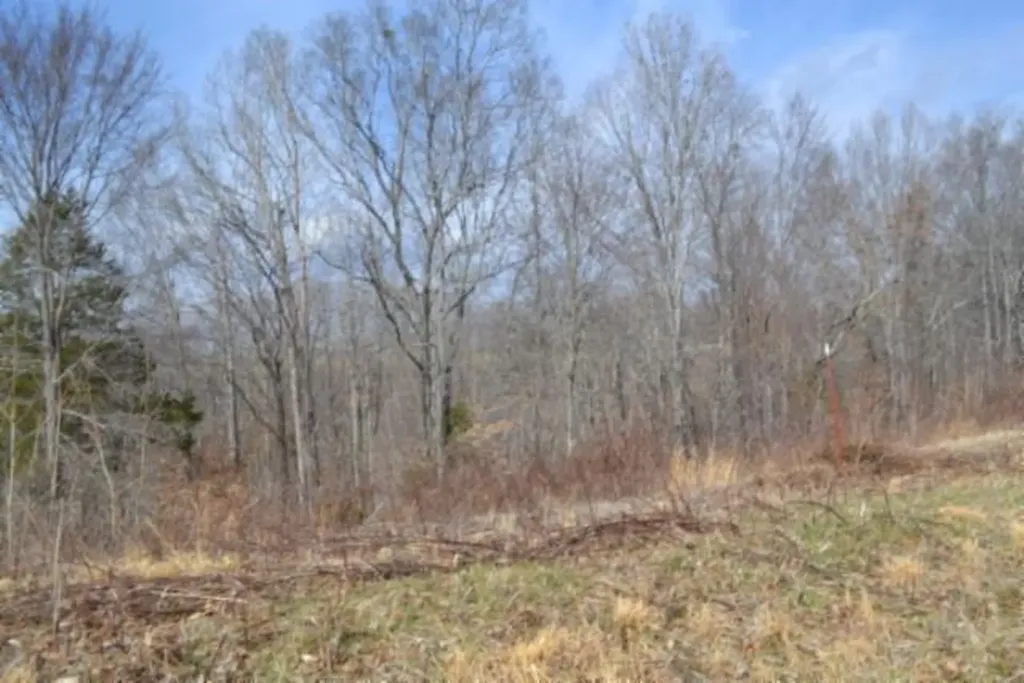 4.13AC Hush Hollow Lane Baxter TN 38544