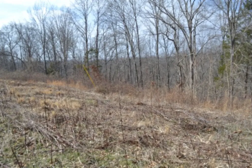 4.13AC Hush Hollow Lane Baxter TN 38544