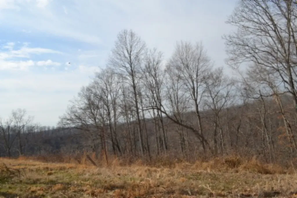 4.13AC Hush Hollow Lane Baxter TN 38544