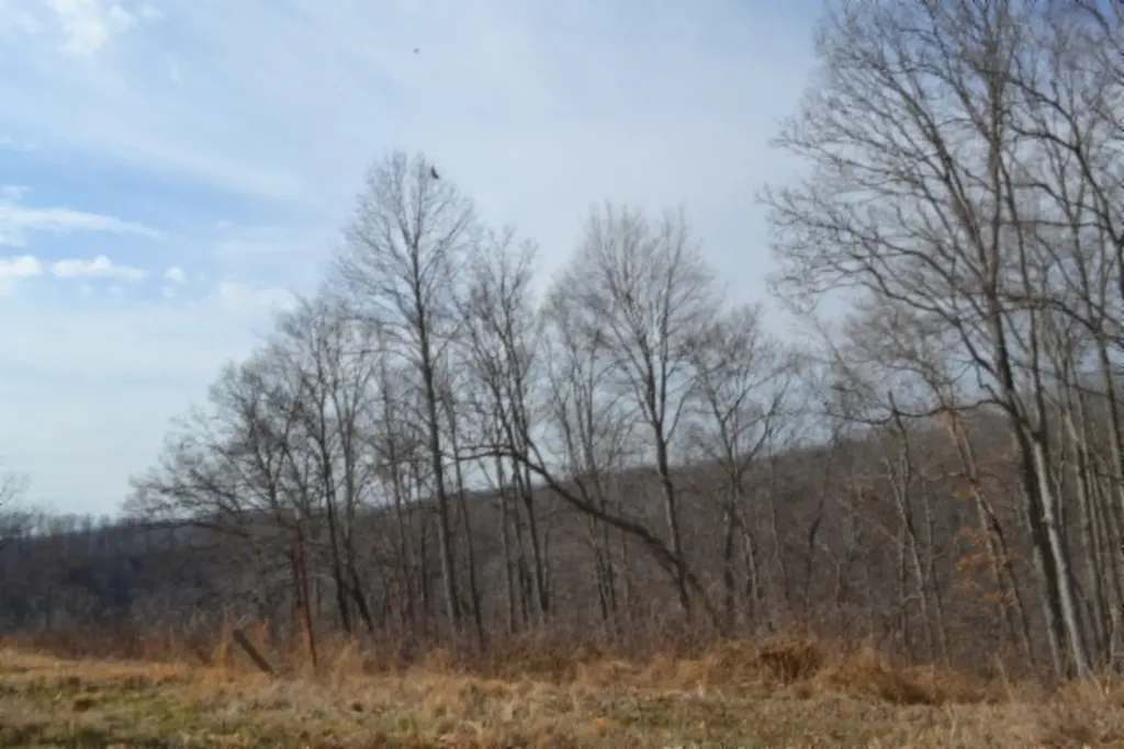 4.13AC Hush Hollow Lane Baxter TN 38544