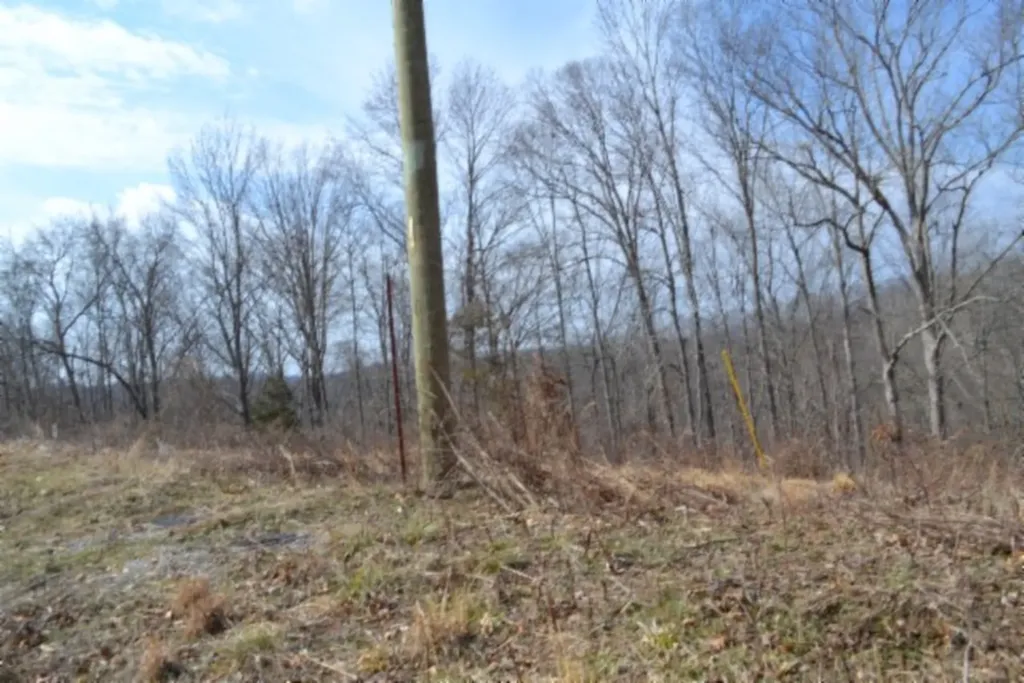 4.13AC Hush Hollow Lane Baxter TN 38544