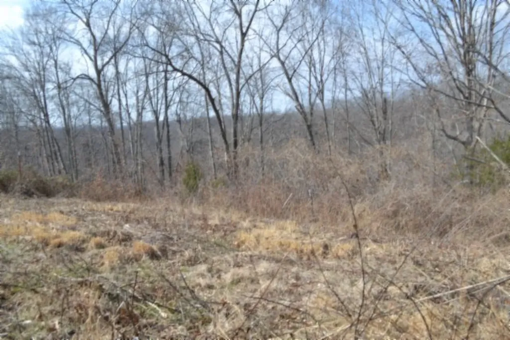 4.13AC Hush Hollow Lane Baxter TN 38544