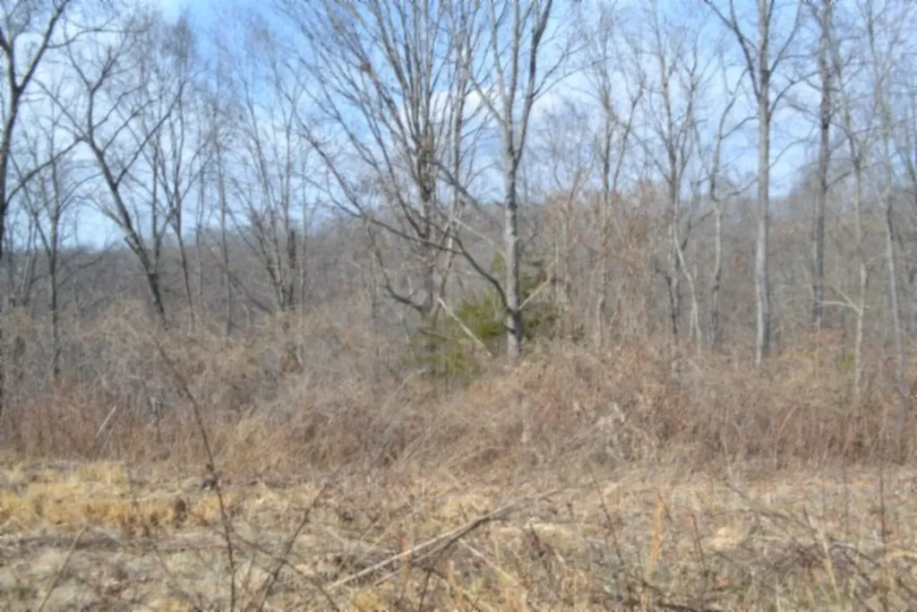 4.13AC Hush Hollow Lane Baxter TN 38544