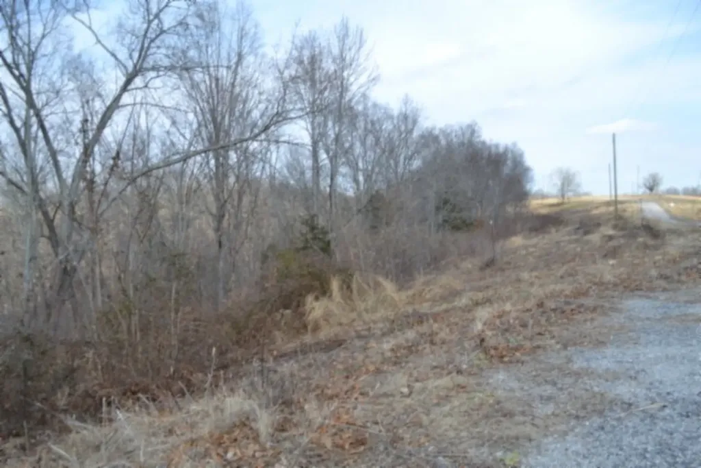 4.13AC Hush Hollow Lane Baxter TN 38544