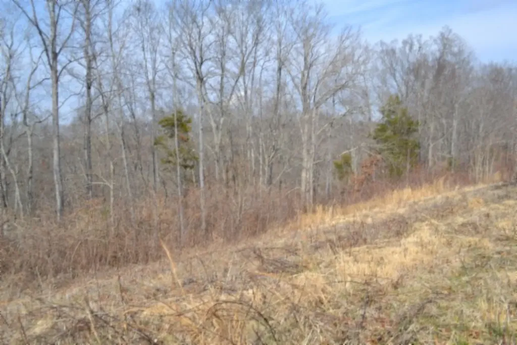 4.13AC Hush Hollow Lane Baxter TN 38544