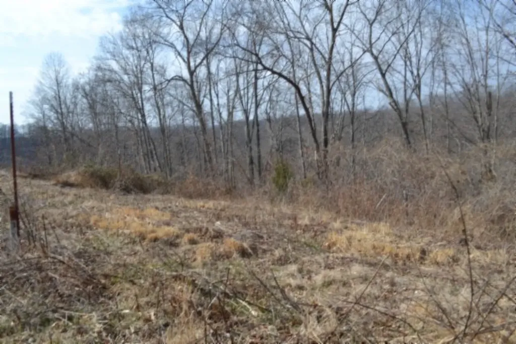 4.13AC Hush Hollow Lane Baxter TN 38544