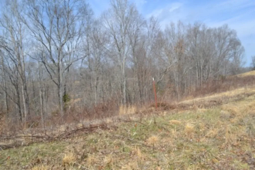 4.13AC Hush Hollow Lane Baxter TN 38544