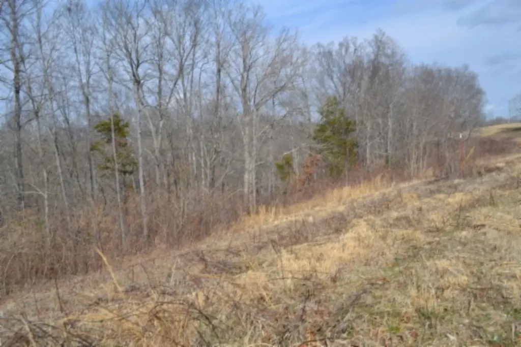4.13AC Hush Hollow Lane Baxter TN 38544