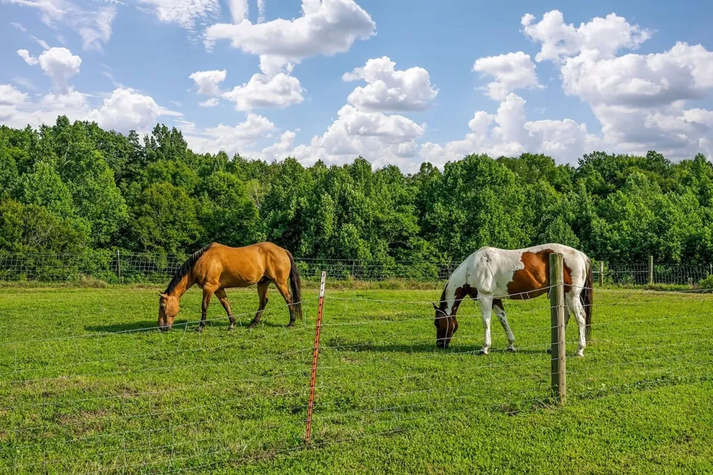 227 Bar Road Baxter TN 38544