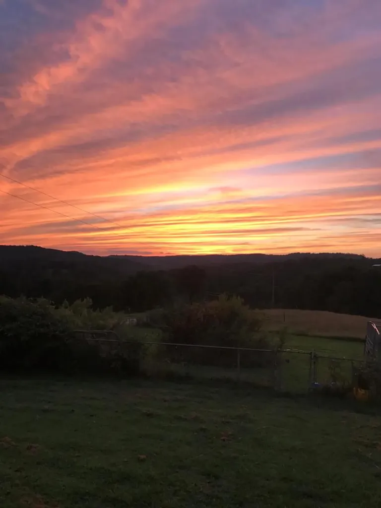 245 Joe D Coffee Road Monroe TN 38573