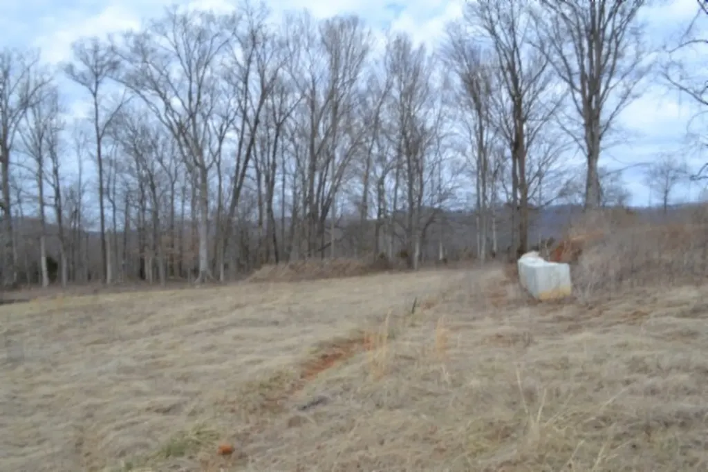 127 Rushing Springs Road Monterey TN 38574