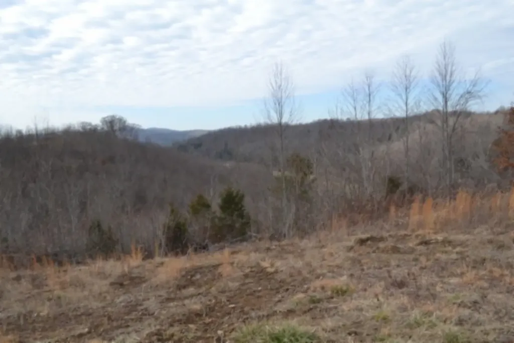 127 Rushing Springs Road Monterey TN 38574