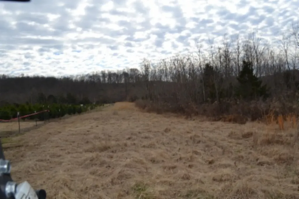 127 Rushing Springs Road Monterey TN 38574