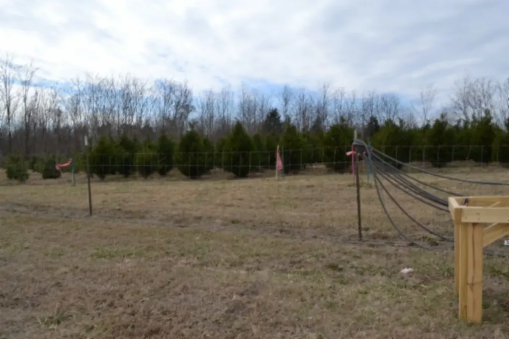 127 Rushing Springs Road Monterey TN 38574