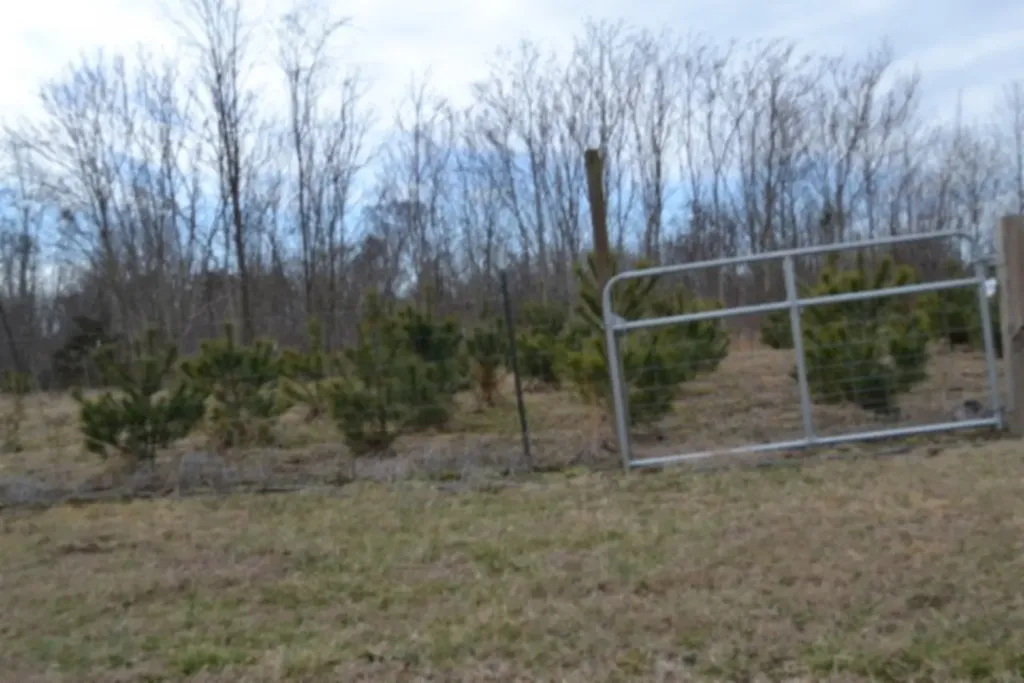 127 Rushing Springs Road Monterey TN 38574