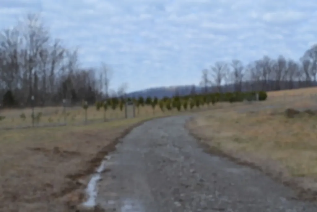 127 Rushing Springs Road Monterey TN 38574