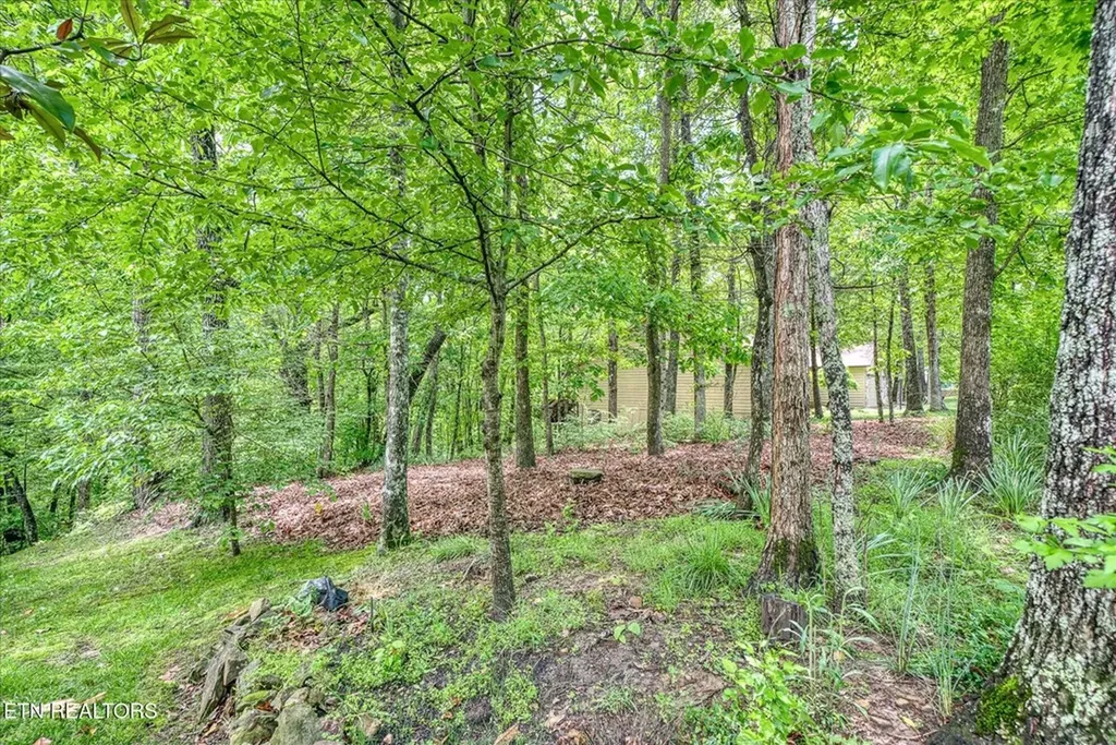 182 Canterbury Crossville TN 38558