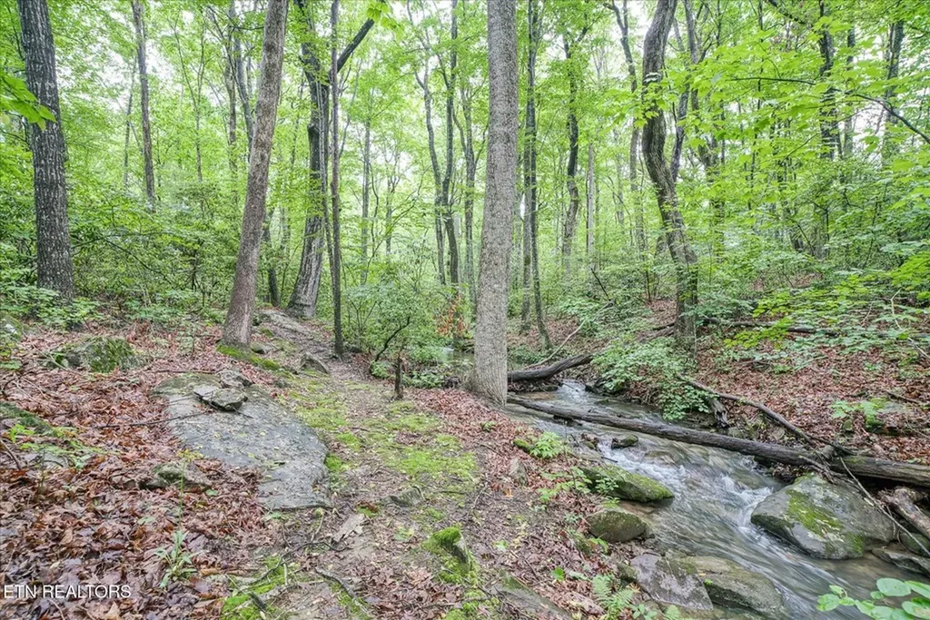 182 Canterbury Crossville TN 38558