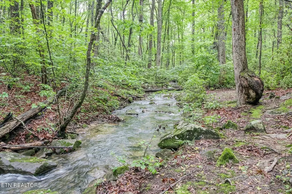 182 Canterbury Crossville TN 38558