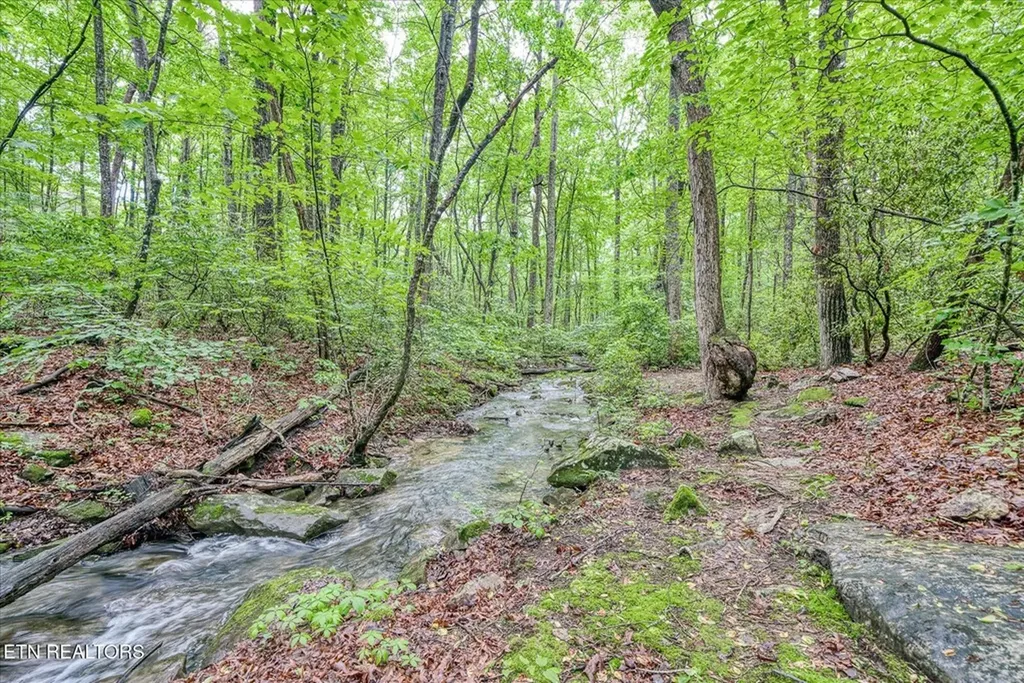 182 Canterbury Crossville TN 38558