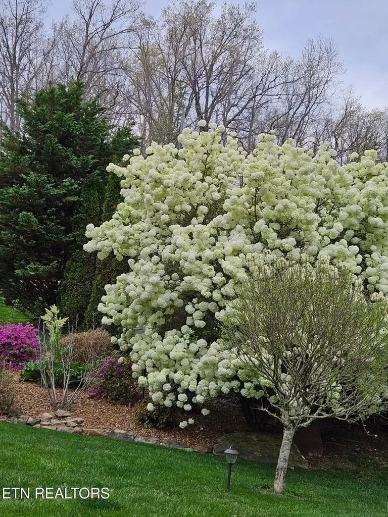 182 Canterbury Crossville TN 38558