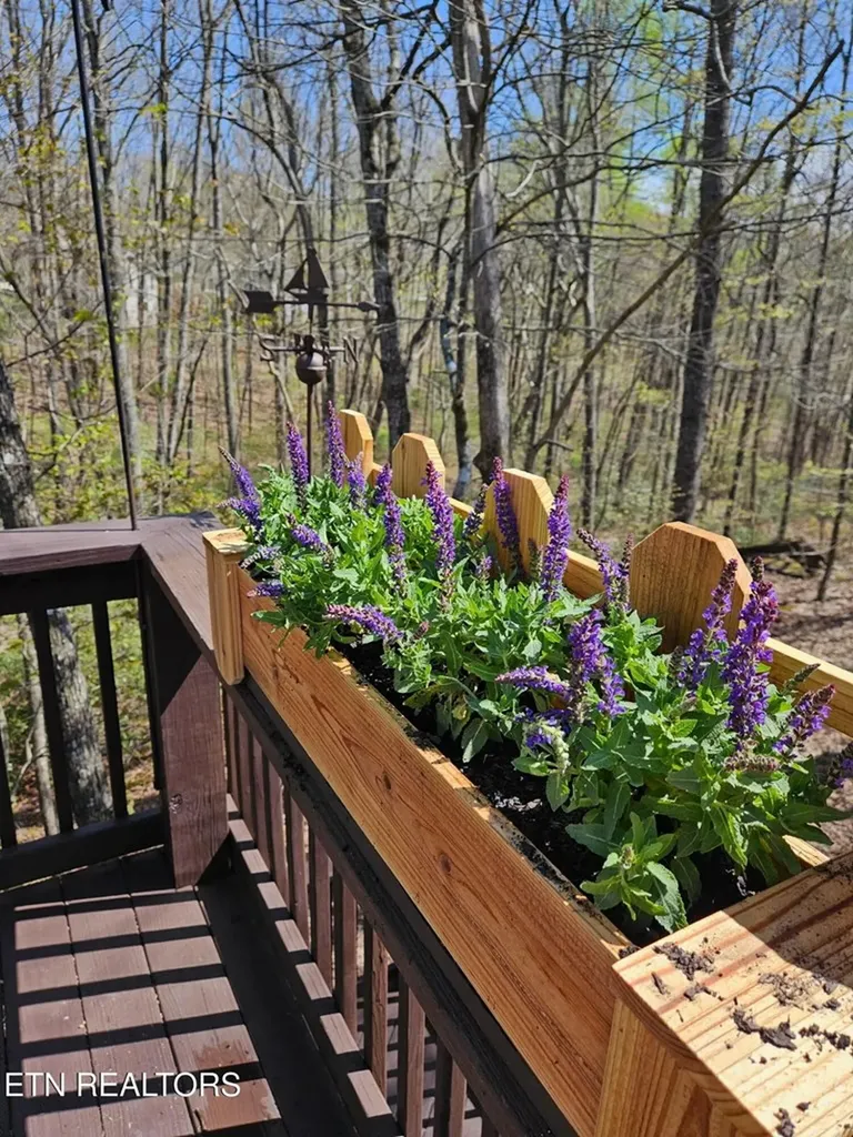 182 Canterbury Crossville TN 38558