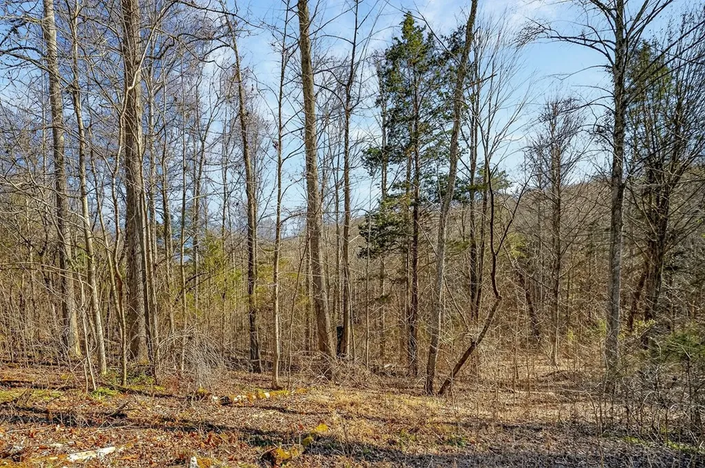 1756 Rickman Monterey Highway Rickman TN 38580