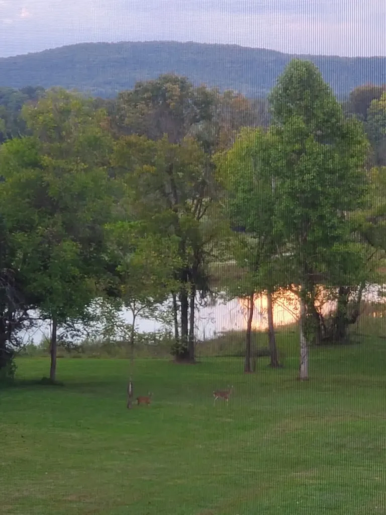 303 Walnut Grove Lane Mcminnville TN 37110