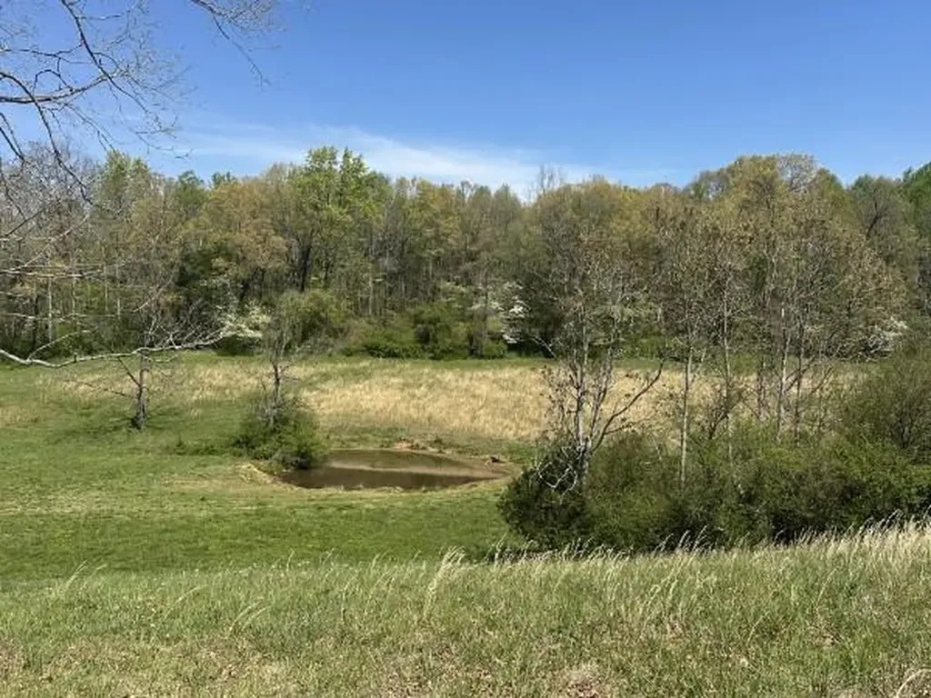 515 Jericho Road Quebeck TN 38579