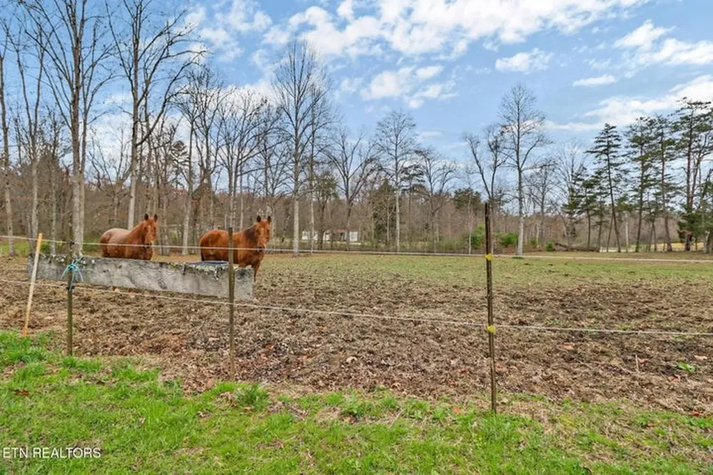 997 Unity Church Road Jamestown TN 38556-5703
