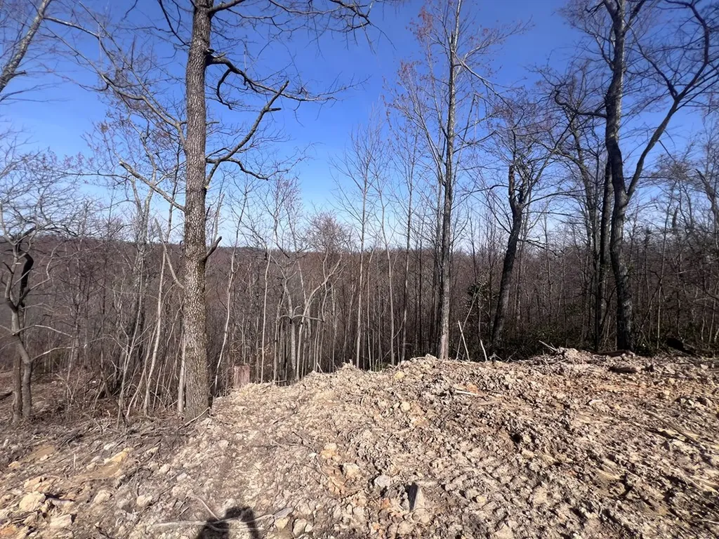 4575 Upper Crab Road Jamestown TN 38556