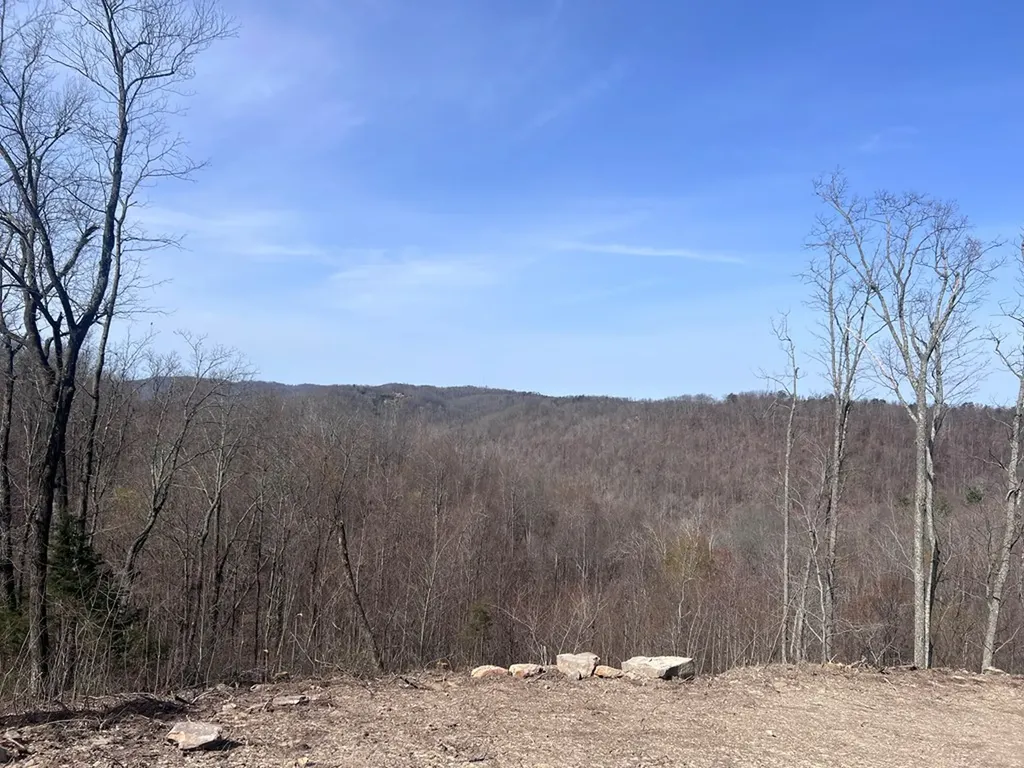 4575 Upper Crab Road Jamestown TN 38556