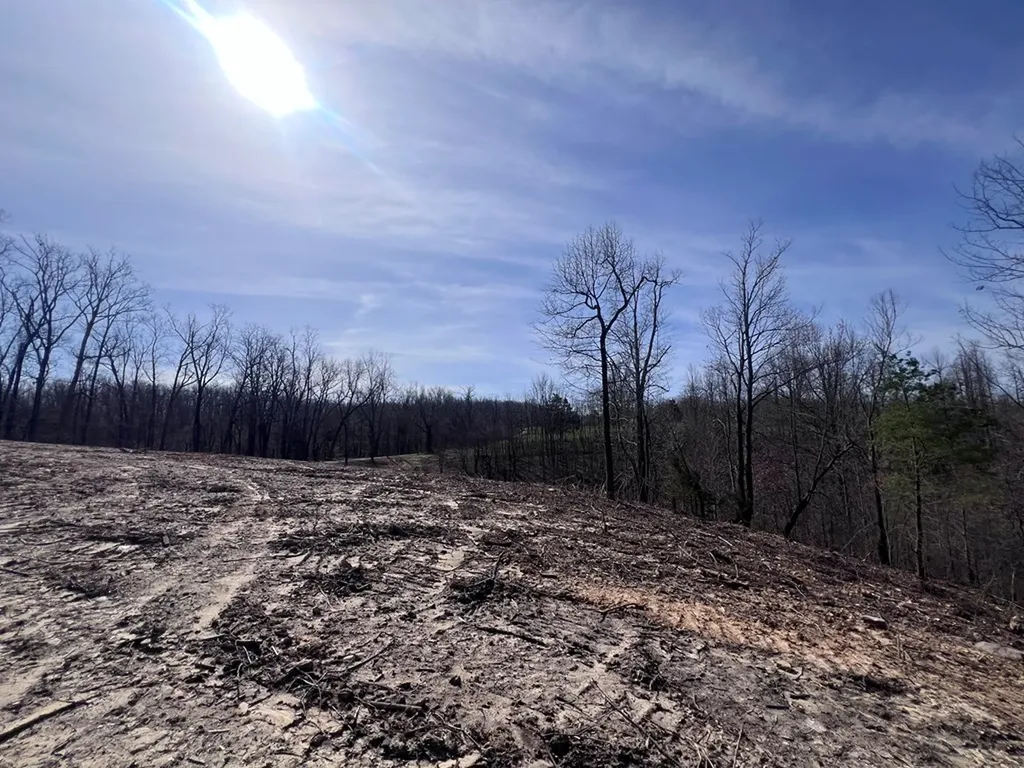 4575 Upper Crab Road Jamestown TN 38556