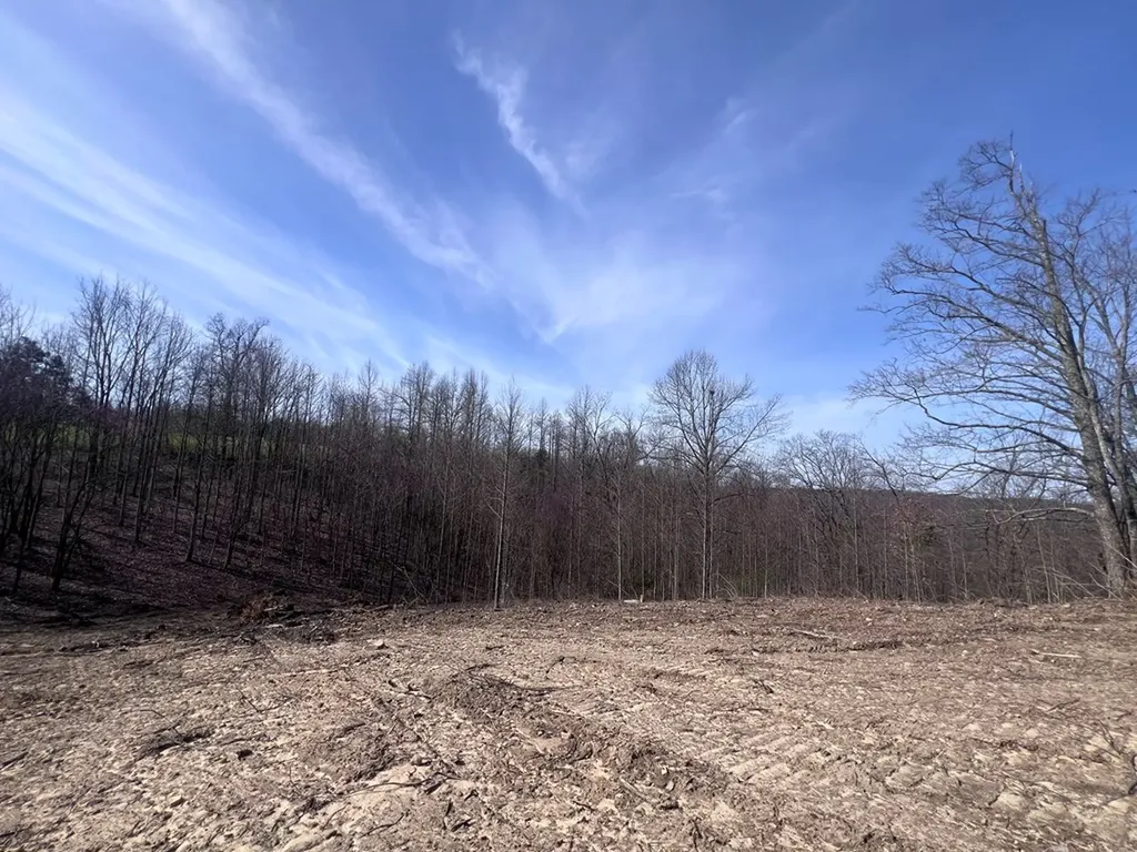 4575 Upper Crab Road Jamestown TN 38556