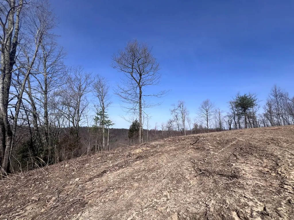 4575 Upper Crab Road Jamestown TN 38556