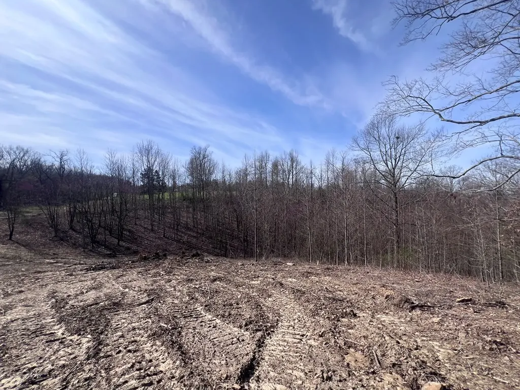 4575 Upper Crab Road Jamestown TN 38556