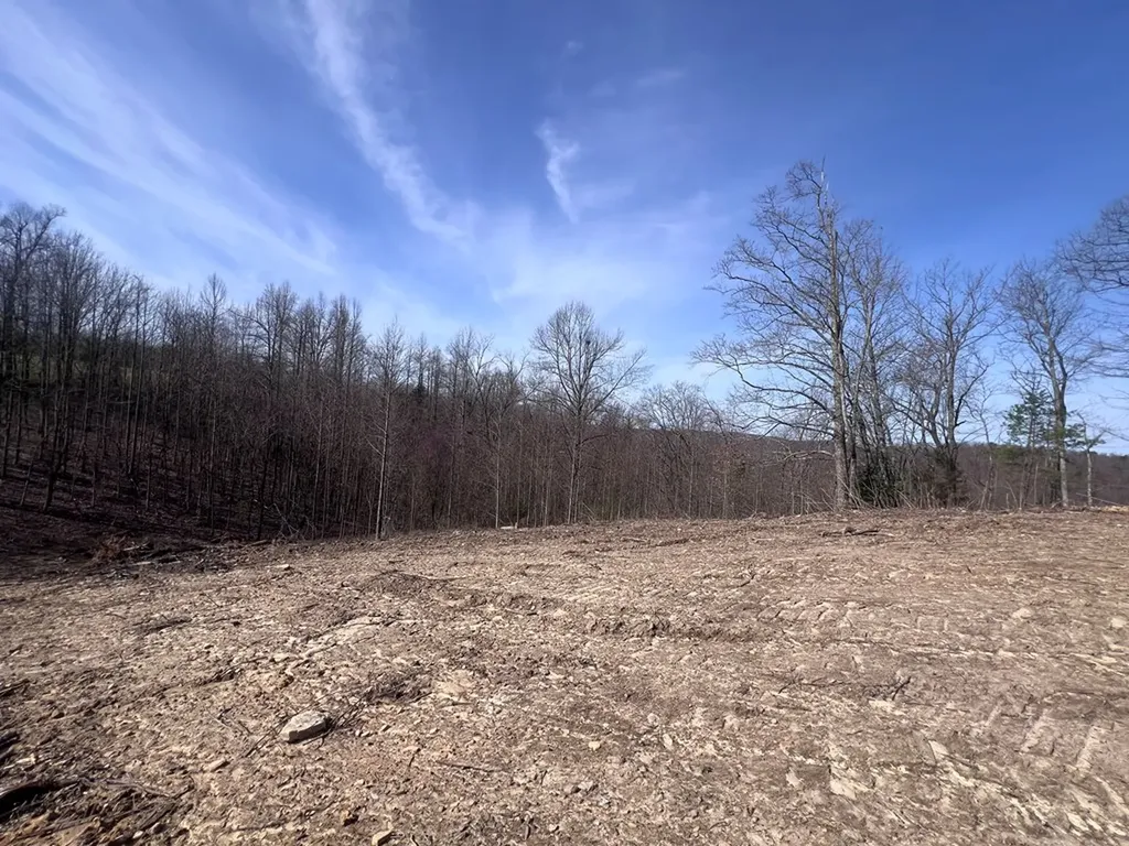 4575 Upper Crab Road Jamestown TN 38556