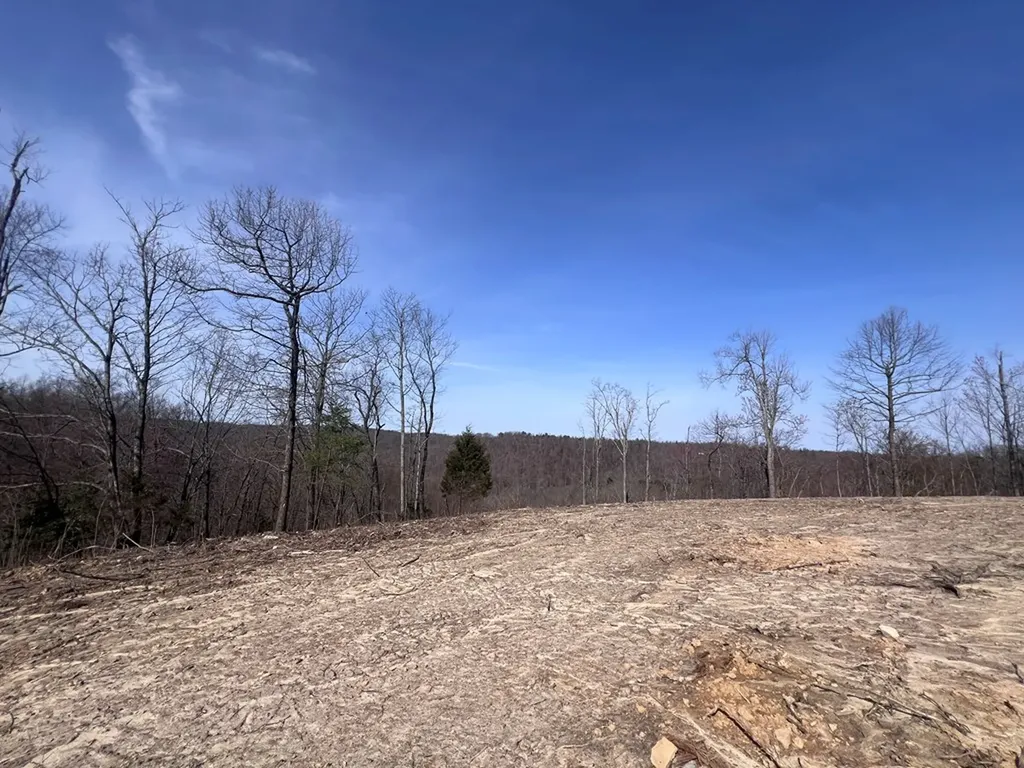 4575 Upper Crab Road Jamestown TN 38556